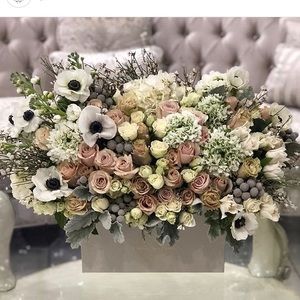 Meet your Posher, Kerri